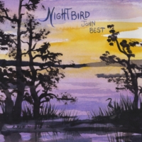 Album cover for 'Nightbird'